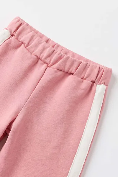 Pembe (1-4 Yaş)  Baskılı  Badili 95 Nakışlı Ceketli Alt Şardonlu   Kız Çocuk&Bebek 3'lü Takım 495289