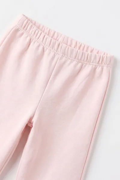 Pembe (1-4 Yaş) Cebi Fiyonk Nakışlı 3 İp Şardonlu Kız Çocuk Kışlık Takım 494685