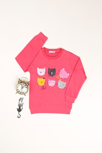 Pembe (1-4Yaş)Baskılı İçi Şardonlu Kız Çocuk Sweat 82143