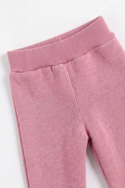 Pembe (1-5  Yaş) Kabartma   Baskılı  3 İp Şardonlu Kız Çocuk Kışlık Takım 499643