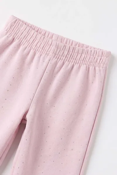 Pembe (1-5 Yaş) Taş Baskılı 3 İp Şardonlu Kız Çocuk Kışlık Takım 499214