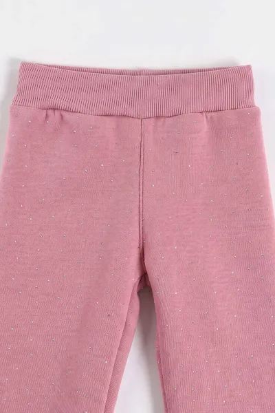 Pembe (1-5 Yaş) Yıldız Nakışlı Alt Taş Baskılı 3 İp Şardonlu Kız Çocuk Kışlık Takım 500820