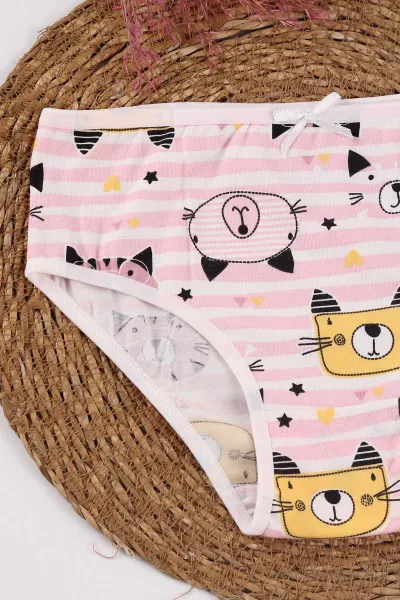 Pembe (2-11 Yaş) Baskılı Fiyonklu Kız Çocuk Külot 249517