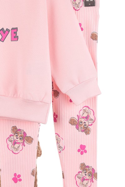Pembe (2-5 Yaş) Skye Köpek Baskılı Oversize Kesim Kız Çocuk Takım 144538