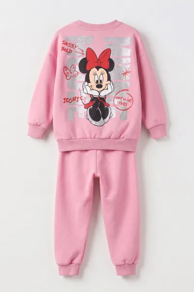Pembe (3-10 Yaş)Karakter Baskılı 3 İp Şardonlu Kız Çocuk Kışlık Takım 501961