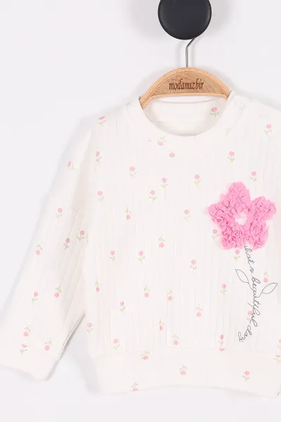 Pembe (3-12 Ay) Çiçek Desenli Kız Bebek Takım 279972