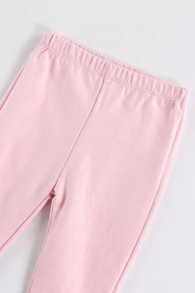 Pembe (3-18 Ay) Kapüşonlu Ayıcık Baskılı Hırkalı  Raporlu  Çıtçıtlı Zıbınlı  Kız Bebek 3'lü Takım 487558