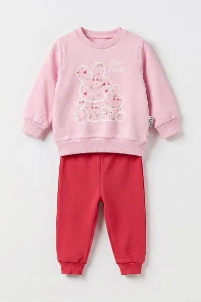 Pembe (3-18 Ay) Tavşan Baskılı 2 İp Kız Bebek Mevsimlik Takım 481106