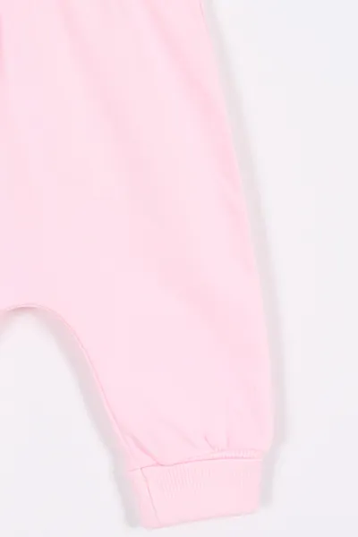Pembe (3-9 Ay) Flowers Nakışlı Çiçek Desenli Kapüşonlu Kız Bebek Takım 279948
