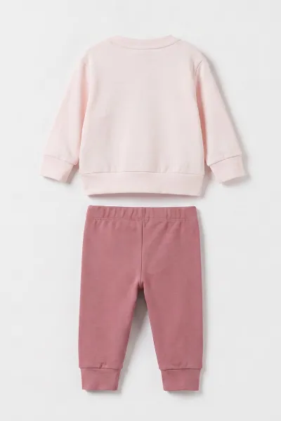 Pembe (6-18 Ay)Fiyonklu Kedicik Baskılı Çıtçıtlı Çimalı Kız Bebek Takım 477635
