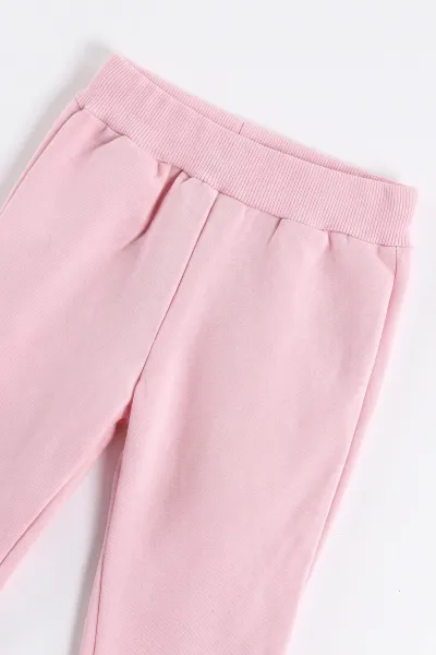 Pembe (6-24 Ay) Baskılı 3 İp Şardonlu Kız Bebek Kışlık Takım 499463