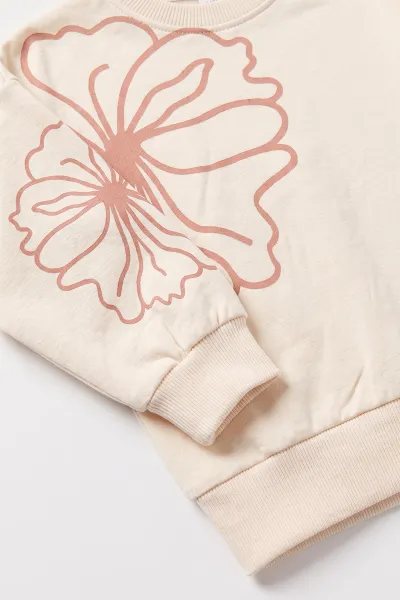 Pembe (6-24 Ay) Baskılı Alt Kadife Taytlı Kız Bebek Takım 481019
