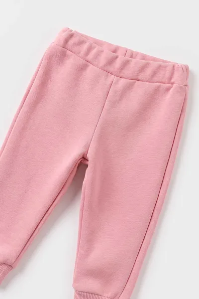 Pembe (6-24 Ay) Çiçek Aksesuarlı 3 İp Şardonlu  Kız Bebek Kışlık Takım 497082