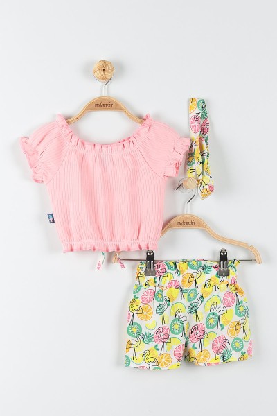 Pembe (6-24 Ay) Flamingo Desenli Kız Bebek Takım 175715