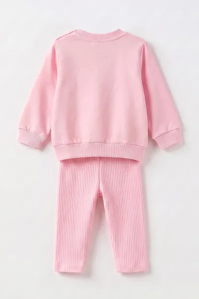 Pembe (6-24 Ay) Karakter Baskılı Taytlı Kız Bebek Takım 472646