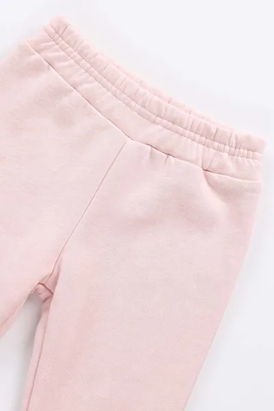 Pembe (6-24 Ay) Kolları Fistolu İçi Şardonlu Kız Bebek Takım 493499