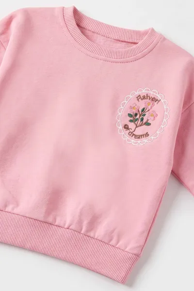Pembe (6-24 Ay) Nakışlı 2 İp Kız Bebek Takım 481017