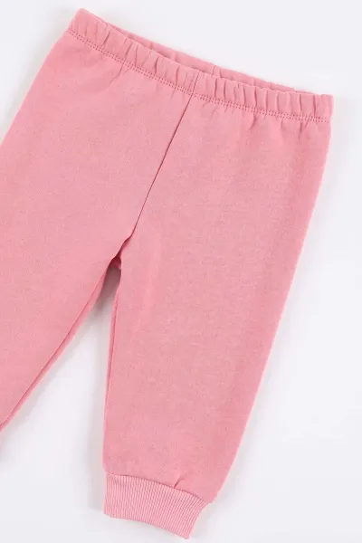 Pembe (6-24 Ay) Puanlı Çiçek Baskılı  Hırkalı 3 İp Şardonlu Kız Bebek 3'lü Takım 497175