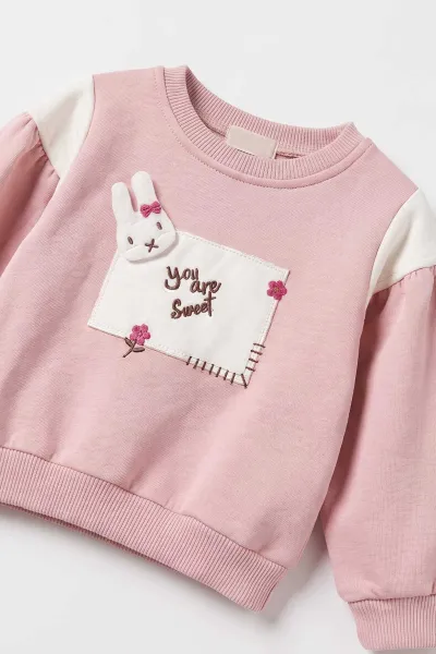 Pembe (6-24 Ay) Tavşan Nakışlı  3 İp Şardonlu Kız Bebek Kışlık Takım 485097