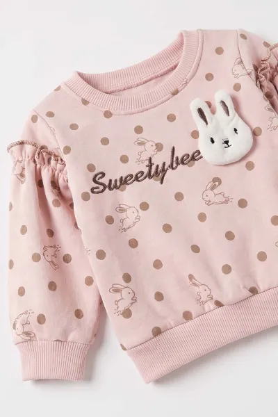 Pembe (6-24 Ay) Tavşanlı 3 İp Şardonlu Kız Bebek Kışlık Takım 485261