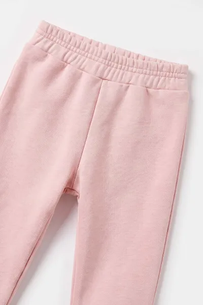 Pembe (6-24 Ay) Tavşanlı 3 İp Şardonlu Kız Bebek Kışlık Takım 485261