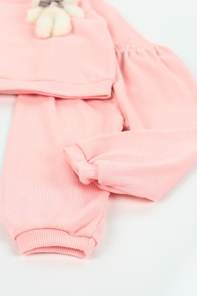 Pembe (9-18 ay) Ayıcıklı Kız Çocuk Takım 127411