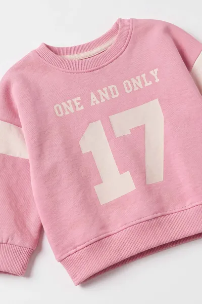 Pembe (9-24 Ay) Baskılı İçi Şardonlu Kız Bebek İkili Takım 493077
