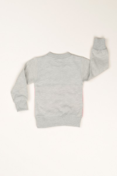 Pembe İçi Şardonlu Baskılı Kız Çocuk Sweat 77498