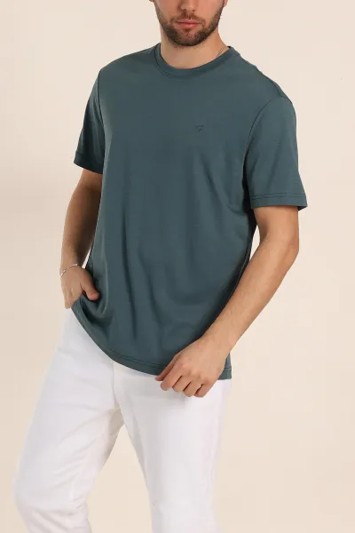 petrol-regular-fit-nakis-logo-detayli-basic-erkek-tisort-338456