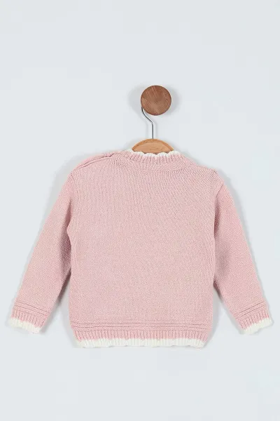 Pudra (1-4 Yaş) Ayıcık Nakışlı Kız Çocuk Kazak 235865