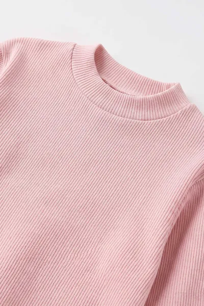 Pudra (5-12 Yaş) Yarım Balıkçı Yaka Kaşkorse Kız Çocuk Body Sweatshirt 493042
