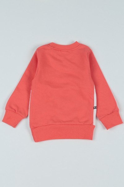 Pudra Birds Baskılı İçi Şardonlu Kız Çocuk Sweatshirt 80606
