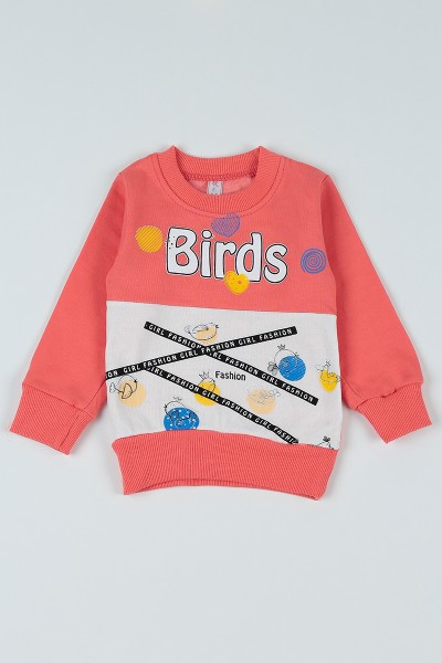 Pudra Birds Baskılı İçi Şardonlu Kız Çocuk Sweatshirt 80606
