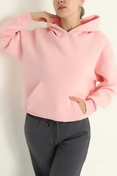 Pudra Kapüşonlu İçi Şardonlu Basic Sweat 292841