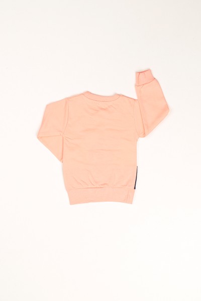 Pudra Pul ve Nakış İşlemeli Şardonlu Kız Çocuk Sweat 80779