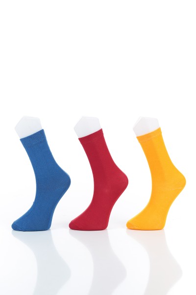 renkli-uclu-soket-corap-146321