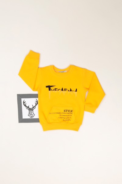 Sarı (1-4 Yaş) Tnecaemni Baskılı Erkek Çocuk Sweatshirt 82530