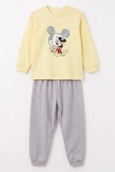Sarı (3-8 Yaş) Karakter Baskılı İnterlok Kumaş Erkek Çocuk Pijama Takım 491034