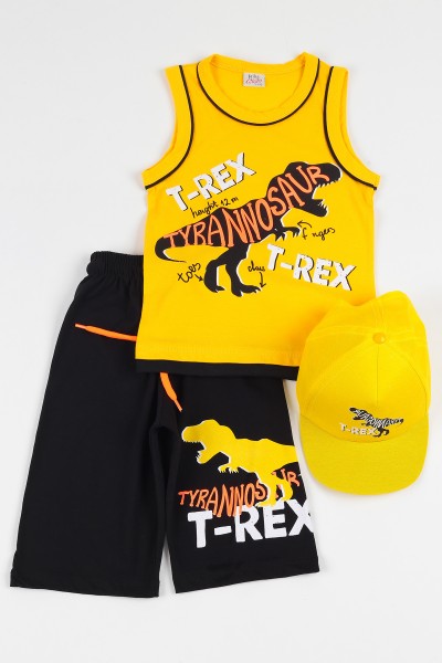 sari-5-8-yas-sapkali-t-rex-baskili-erkek-cocuk-kaprili-takim-112382