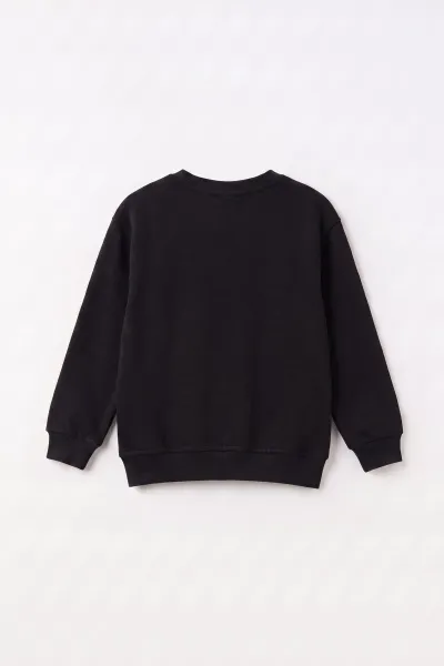 Siyah (2-12 Yaş) Theless Nakışlı  İçi Şardonlu Erkek  Çocuk Sweatshirt 483293