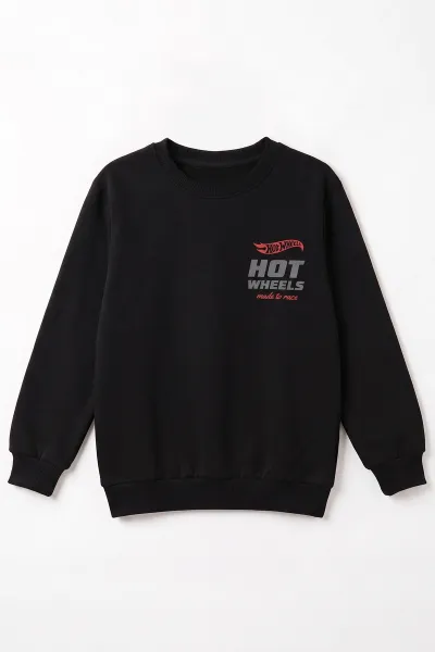 Siyah (4-12 Yaş)Baskılı  2 İp Erkek Çocuk Sweatshirt 493699