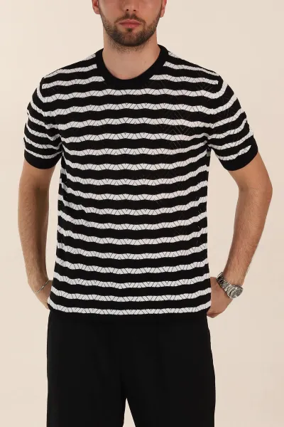 Siyah Slim Fit Çizgili Bisiklet Yaka Erkek Triko Tişört 358310