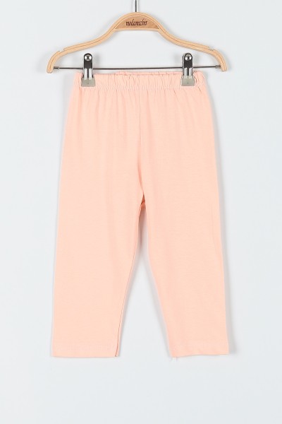 Somon (1-3 Yaş) Köpek Everest Baskılı Kız Bebe Pijama Takım 181863