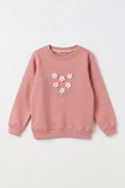 Somon (2-12 Yaş) Kalpli Çiçek Nakışlı Taşlı  İçi Şardonlu Kız Çocuk Sweatshirt 483291