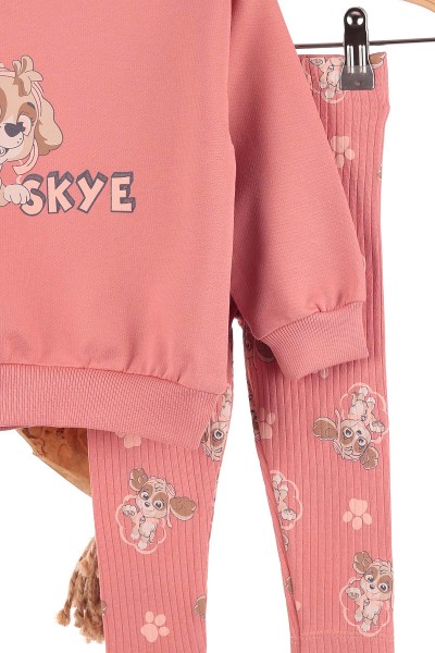 Somon (2-5 Yaş) Skye Köpek Baskılı Oversize Kesim Kız Çocuk Takım 144539