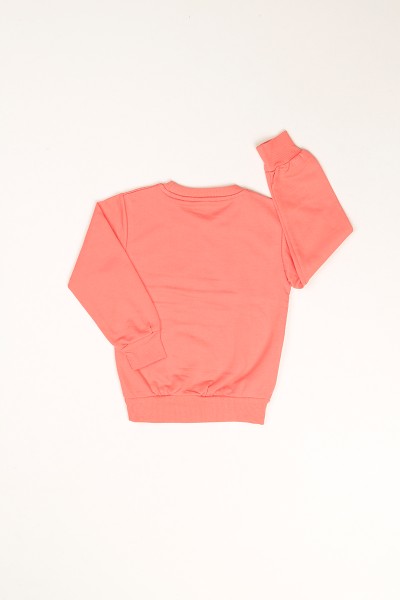 Somon İçi Şardonlu Baskılı Kız Çocuk Sweat 80750