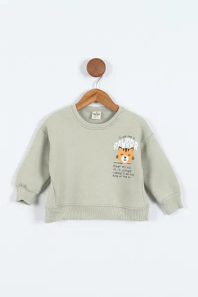 Su Yeşili (0-4 Yaş)Rawr Baskılı  3  İp Şardonlu Erkek Çocuk Sweatshirt 415036