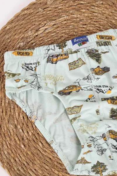 Su Yeşili Berrak ( 3-8 Yaş ) Baskılı Erkek Çocuk Boxer 460741