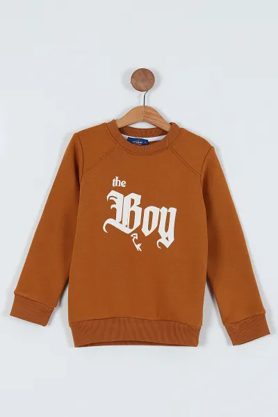 Taba (7-10 Yaş)  Boy Baskılı Şardonlu Erkek Çocuk Sweatshirt 236220