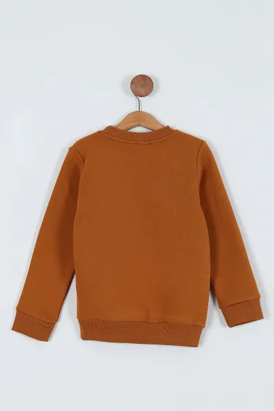 Taba (7-10 Yaş)  Boy Baskılı Şardonlu Erkek Çocuk Sweatshirt 236220
